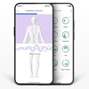 HealAdvisor Analyse Meridian Module